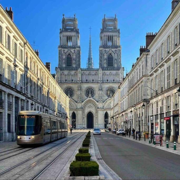 Apartamento Loft De Courcaille - Balneo - Free Parking - Wifi Orléans Exterior foto